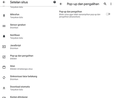 Cara Menghilangkan Iklan di Google Chrome