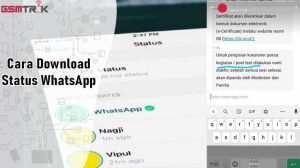 Cara Download Status WhatsApp