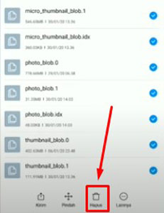 11 Jika sudah tercentang semua filenya maka pilih Hapus maka sekarang