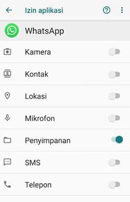 Berikan Perizinan Penyimpanan WhatsApp