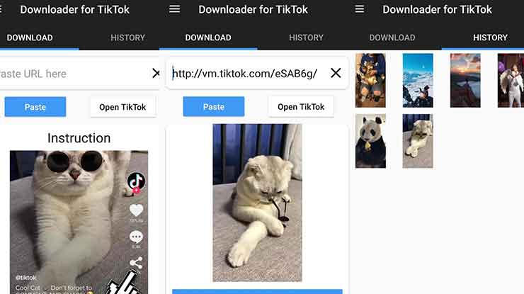 Downloader for TikTok