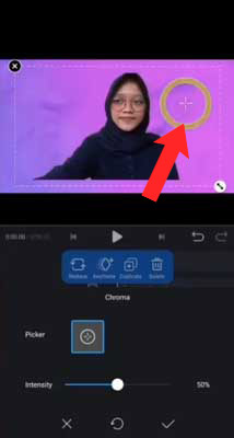 green screen Aplikasi VN