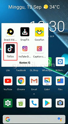 tiktok downloader