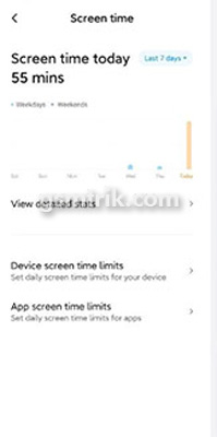 Screen Time MIUI 11