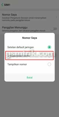 sembunyikan nomor