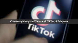 Cara Menghilangkan Watermark TikTok di Telegram