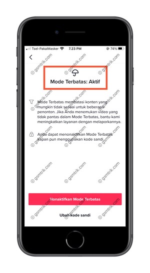 Mode Terbatas Aktif