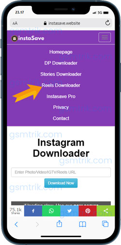 Pilih Reels Downloader Instasave