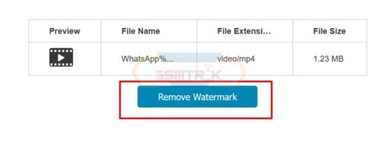 2 Remove Watermark