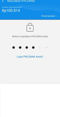 pin dana