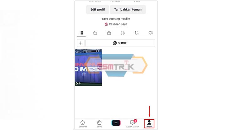 Masuk ke Profil Akun TikTok