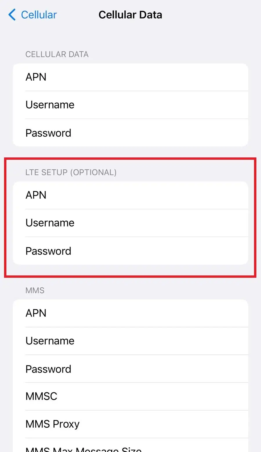 Isi APN di LTE Setup Opsional