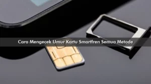 Cara Mengecek Umur Kartu Smartfren Semua Metode